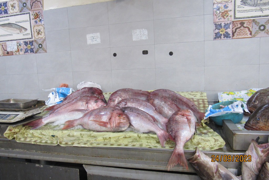 Variedad de pescados frescos exhibidos en un mercado de pescado en Mahdia, con un entorno limpio y ordenado.