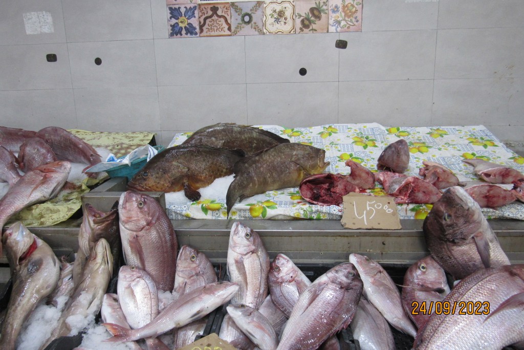 Pescadería en Mahdia mostrando una variedad de pescados frescos sobre una mesa, con un letrero de precio.